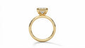 Veyra Emerald Frame Ring