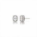 Solara Oval Halo Studs
